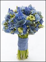 www.floristic.ru - . !!!!!