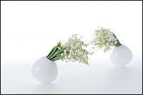 www.floristic.ru - .  "" (, )