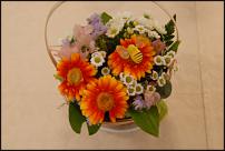 www.floristic.ru - .      .