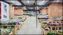 www.floristic.ru - .        Cash & Carry    .