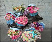 www.floristic.ru - .  "" (, )