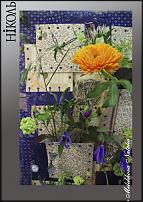 www.floristic.ru - .  