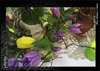 www.floristic.ru - .  