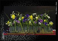 www.floristic.ru - .  