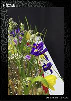 www.floristic.ru - .  