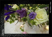 www.floristic.ru - .  