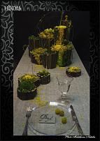 www.floristic.ru - .  