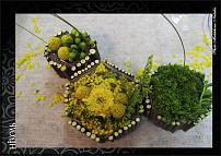 www.floristic.ru - .  