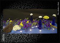 www.floristic.ru - .  