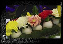 www.floristic.ru - .  