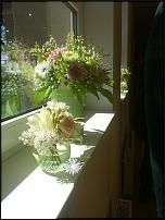 www.floristic.ru - .  .