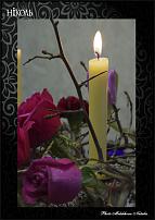 www.floristic.ru - .  