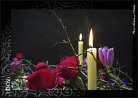 www.floristic.ru - .  