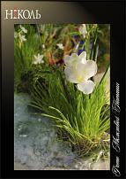 www.floristic.ru - .  