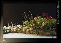 www.floristic.ru - .  