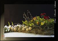 www.floristic.ru - .  