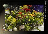 www.floristic.ru - .  