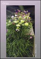 www.floristic.ru - .  