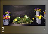 www.floristic.ru - .  