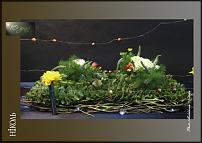 www.floristic.ru - .  