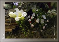 www.floristic.ru - .  