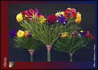 www.floristic.ru - .  