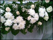 www.floristic.ru - . 