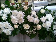 www.floristic.ru - . 