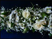 www.floristic.ru - .   .