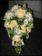 www.floristic.ru - .    