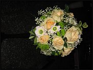 www.floristic.ru - .    