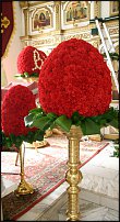 www.floristic.ru - .  