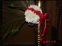 www.floristic.ru - .  