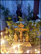 www.floristic.ru - .  