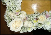 www.floristic.ru - .  