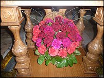 www.floristic.ru - .  