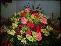 www.floristic.ru - .  