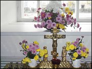 www.floristic.ru - .  