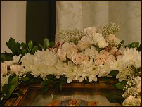 www.floristic.ru - .  