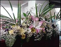 www.floristic.ru - .  