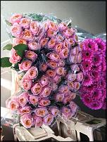 www.floristic.ru - .  "" (, )