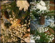 www.floristic.ru - .  