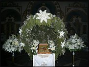 www.floristic.ru - .  