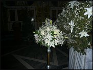 www.floristic.ru - .  