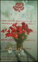 www.floristic.ru - .  "" (, )