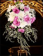 www.floristic.ru - .   ,    