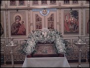 www.floristic.ru - .   .