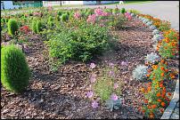 www.floristic.ru - .    