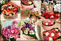 www.floristic.ru - .   -