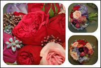 www.floristic.ru - .     